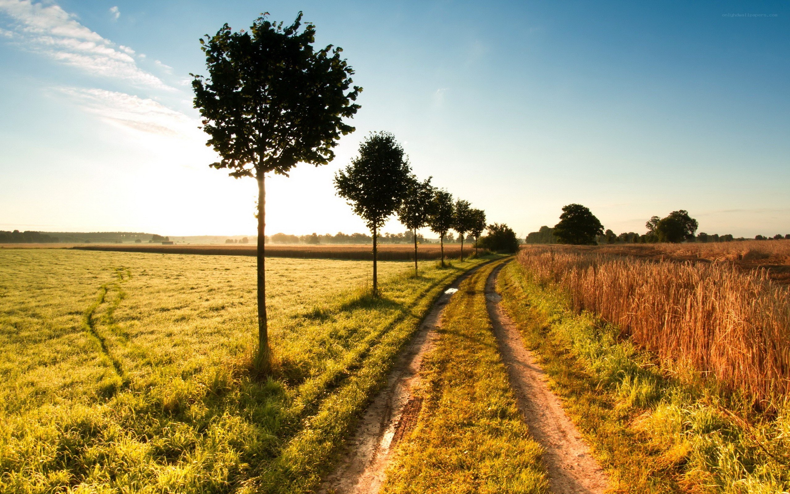 Country path at sunrise