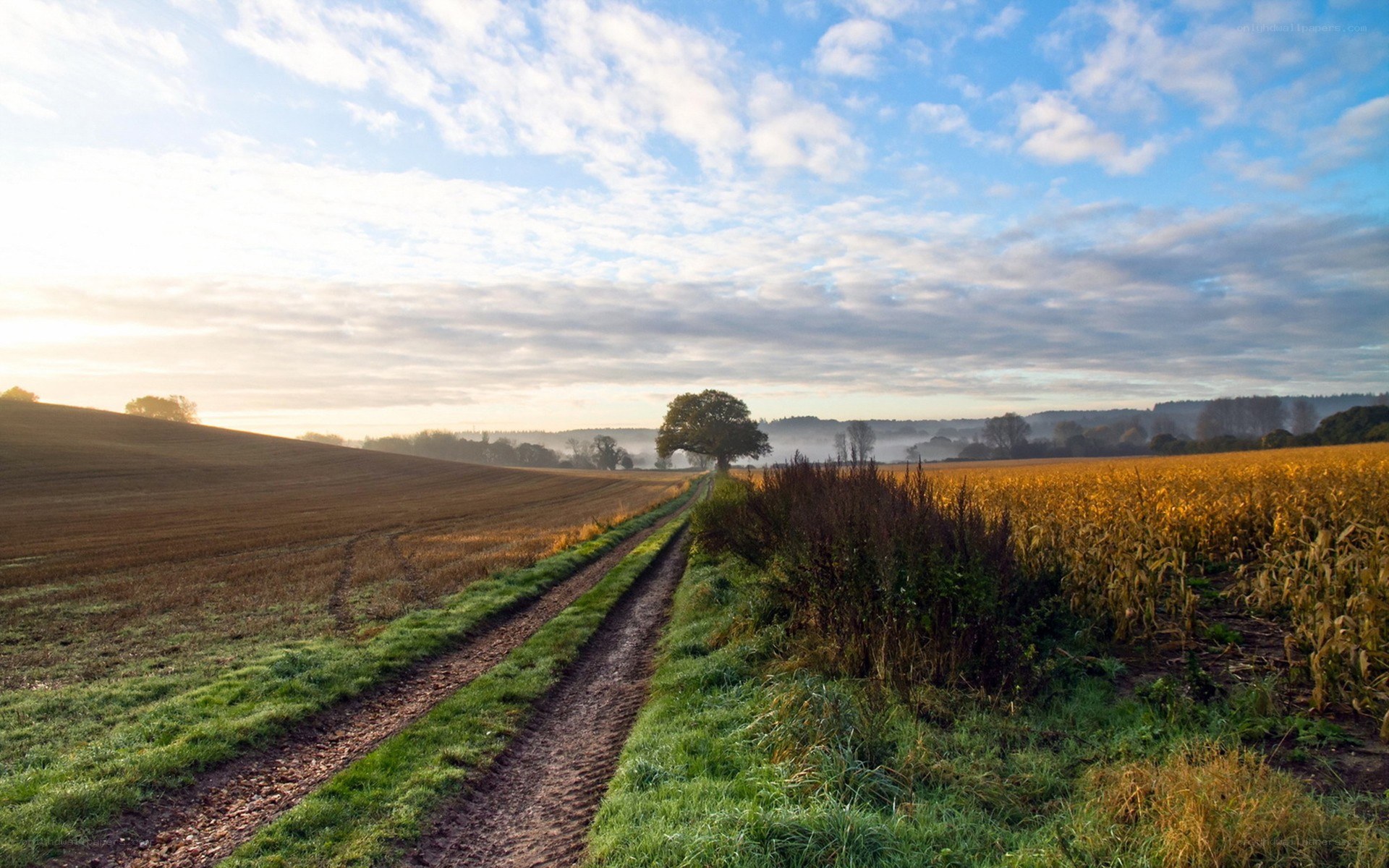 Country path at sunrise