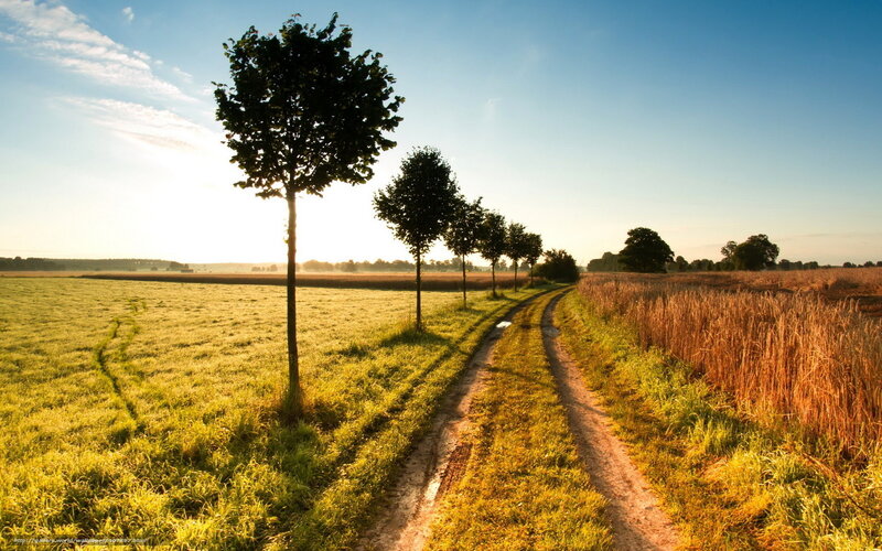 Country path at sunrise