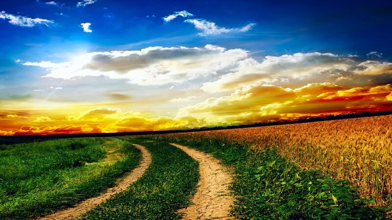 Country path at sunset