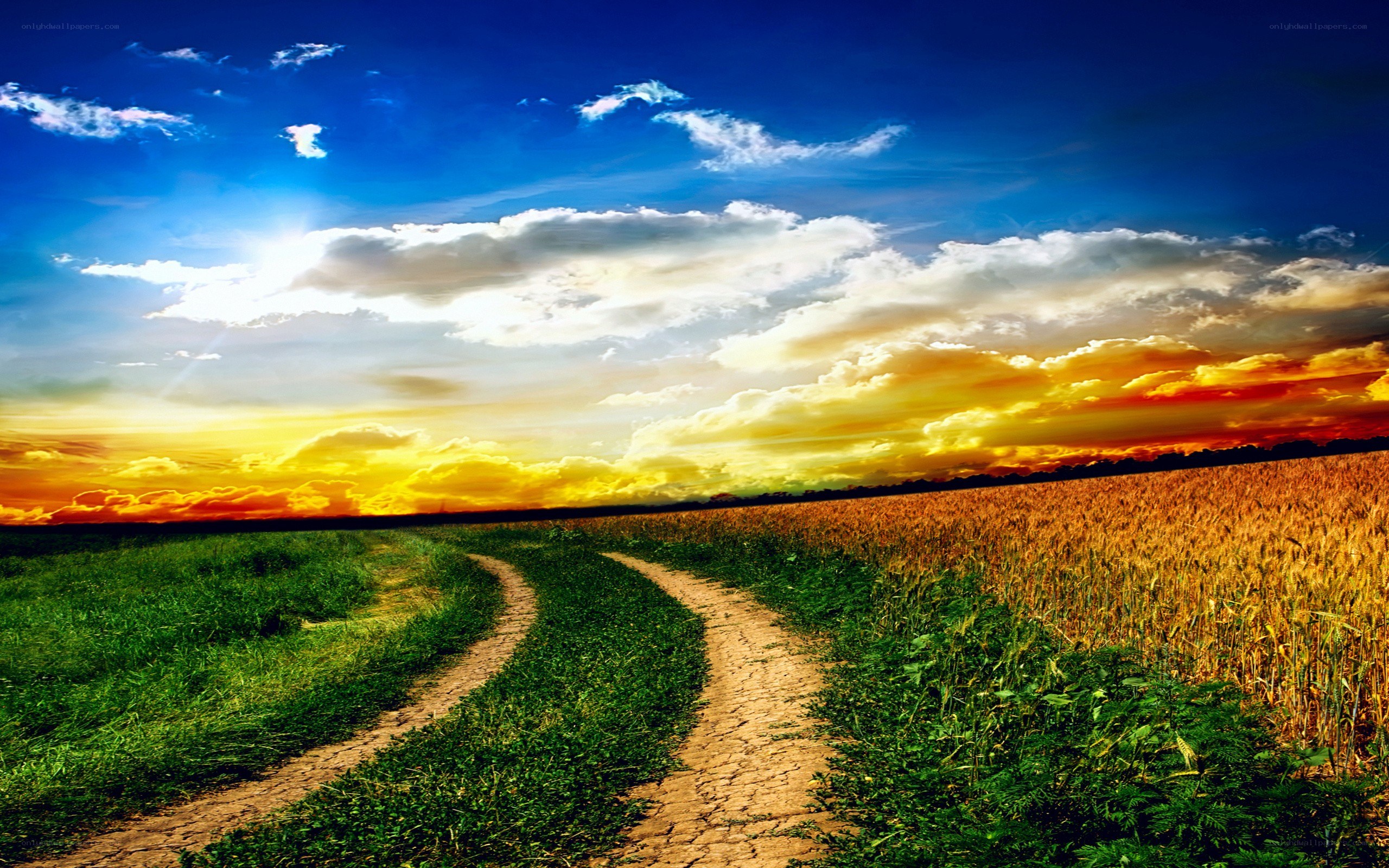 Country path at sunset