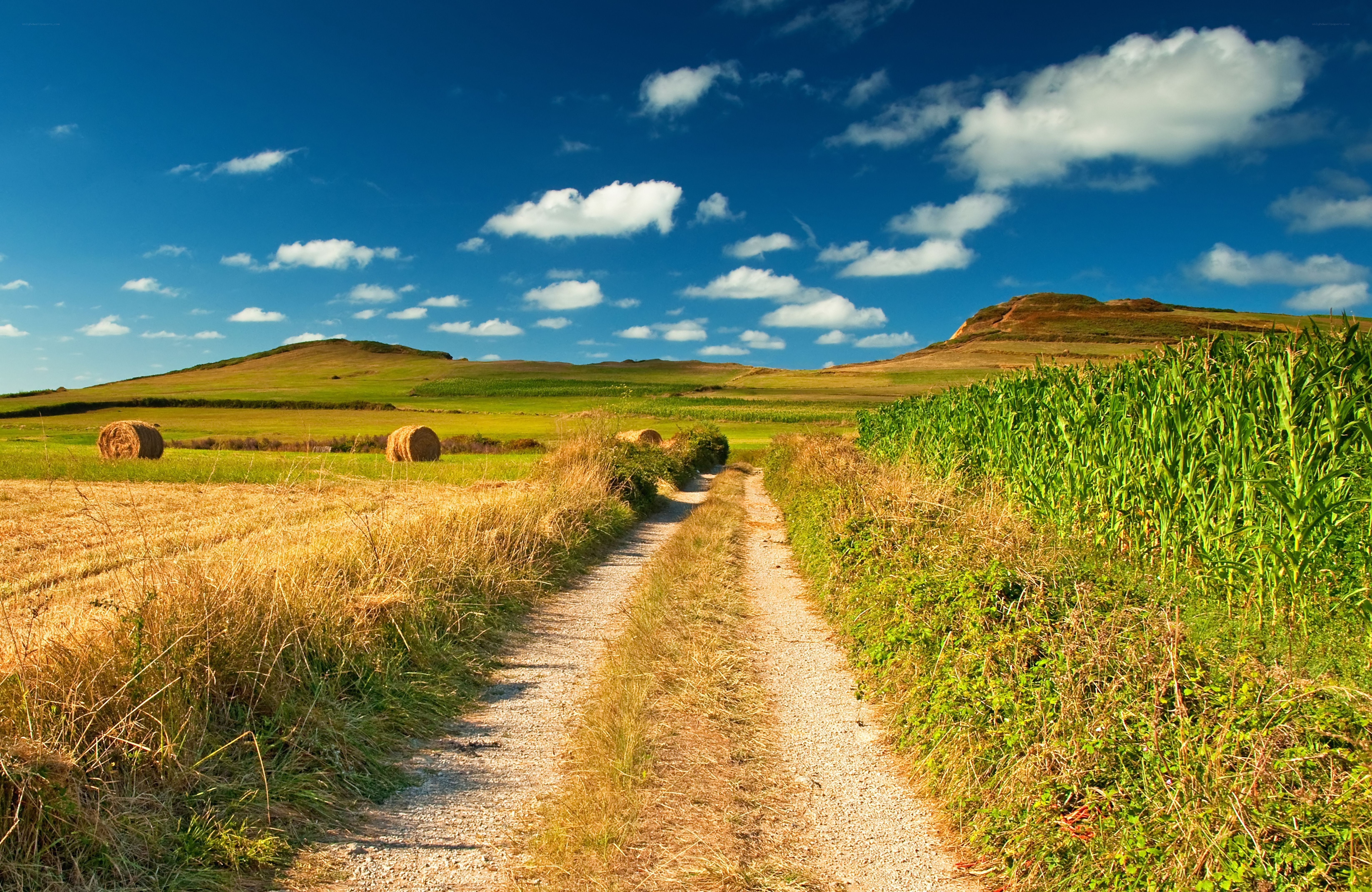 Country path through farmland