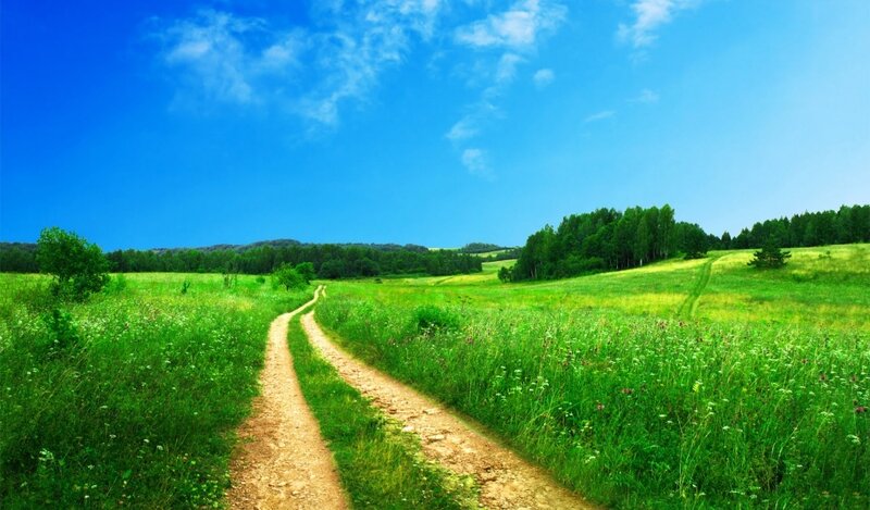 Country path through green fields
