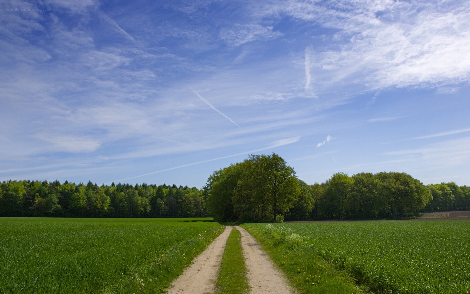 Country path under blue sky