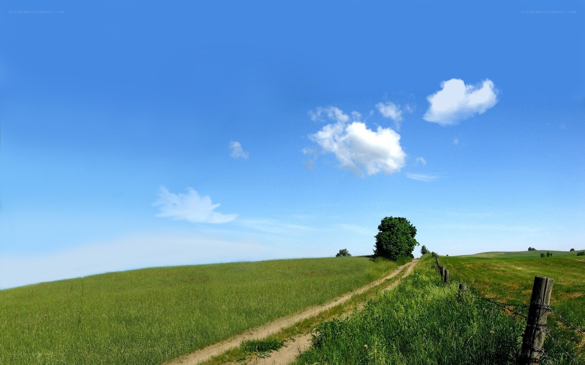 Country path under blue sky