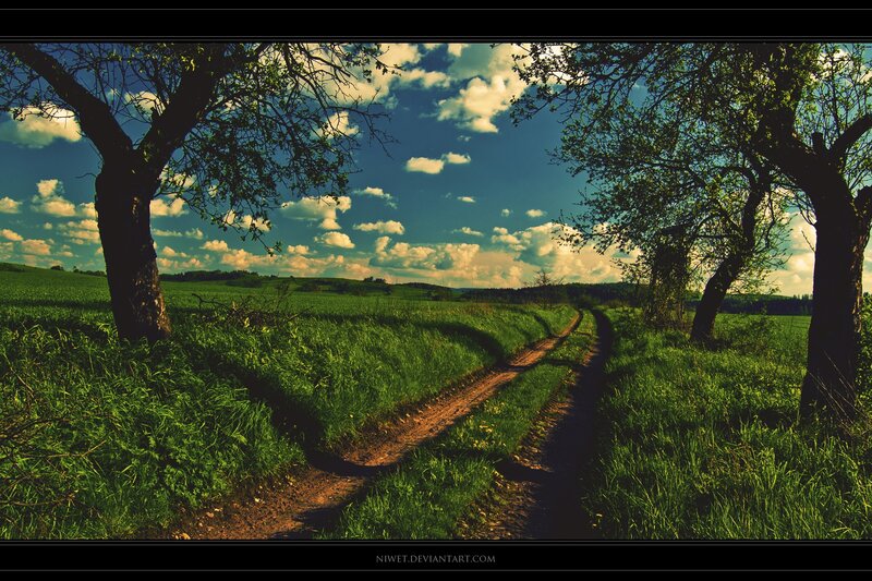 Country path under blue sky