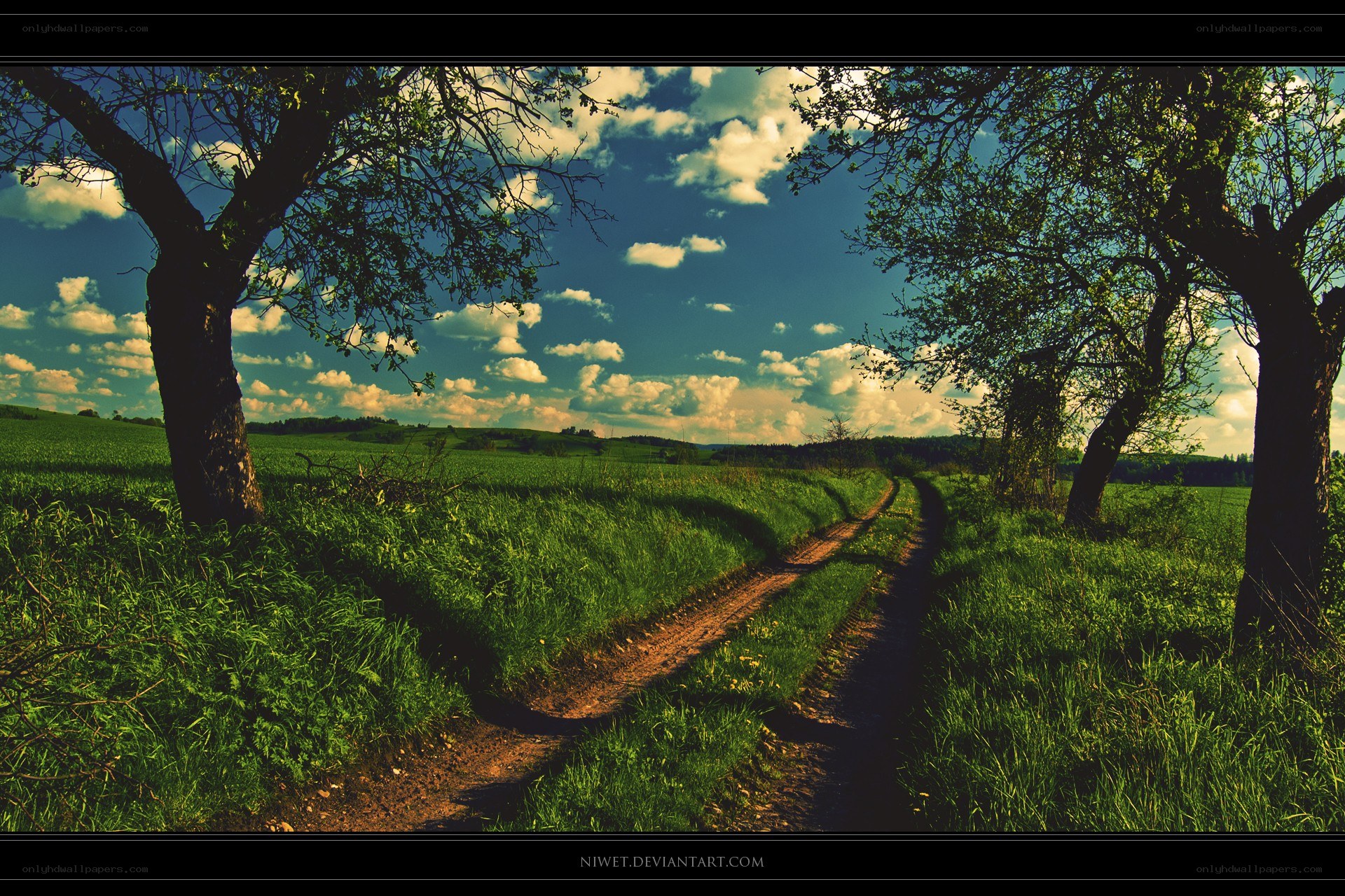 Country path under blue sky