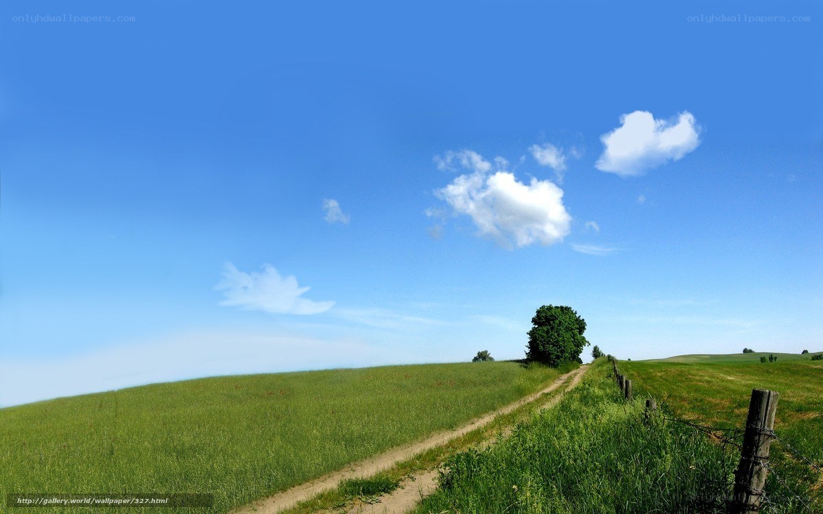 Country path under blue sky