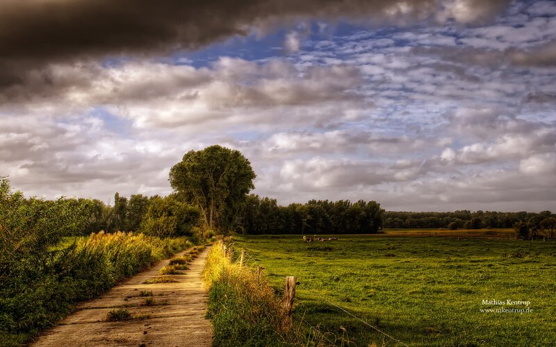 Country path under cloudy sky