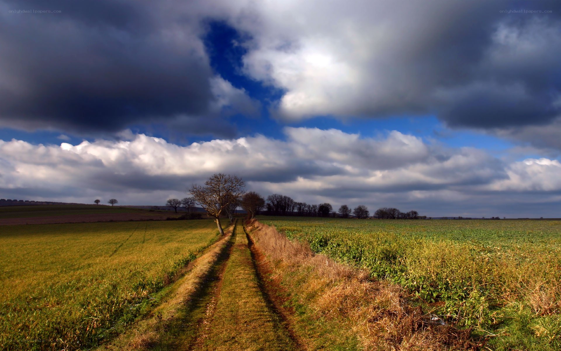 Country path under stormy sky