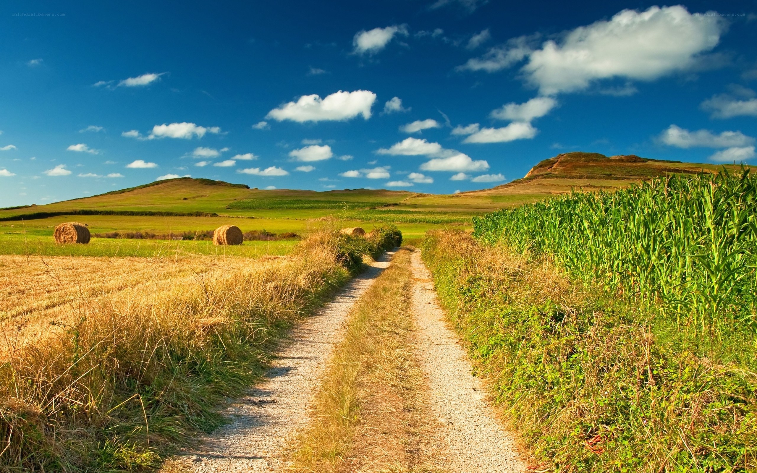 Country path with hay bales