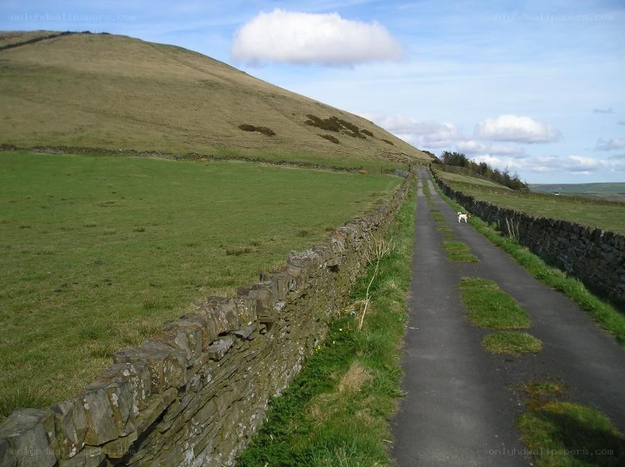 Country path with stone walls