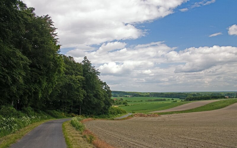 Country Road and Fields
