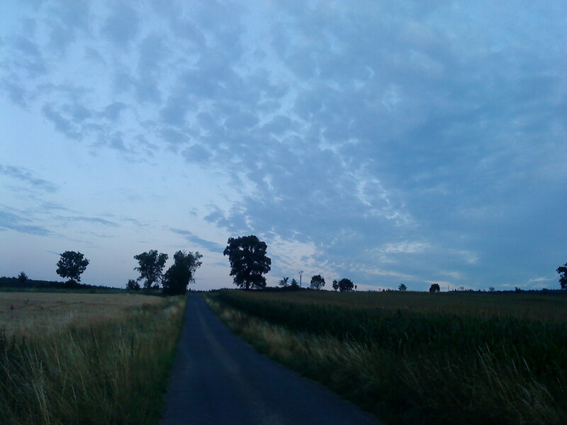 Country Road at Dusk