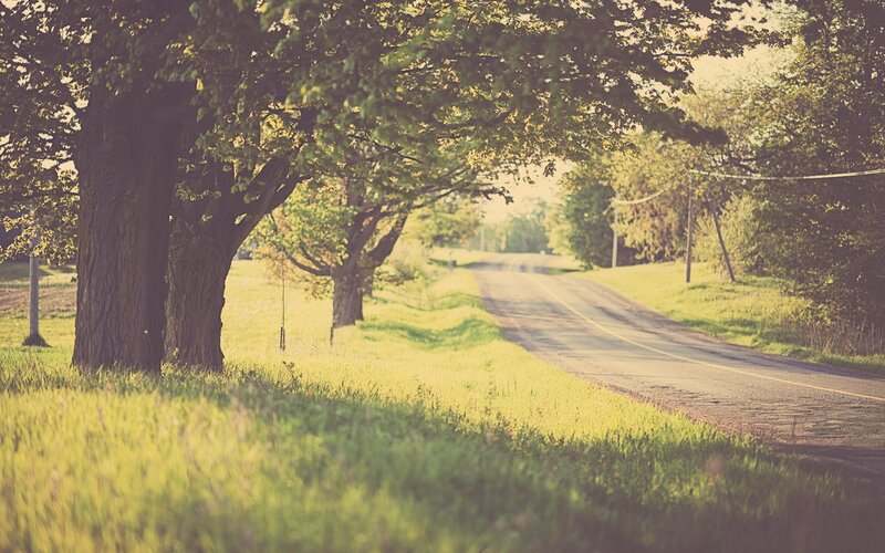 Country road at golden hour