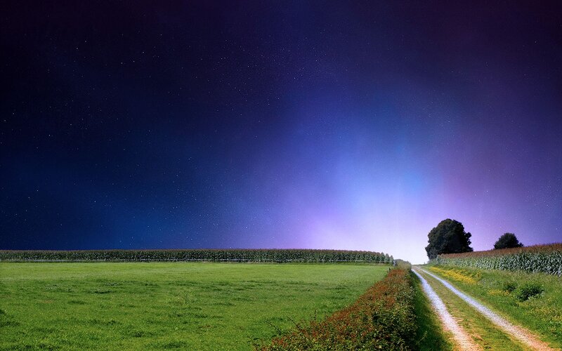 Country Road at Night