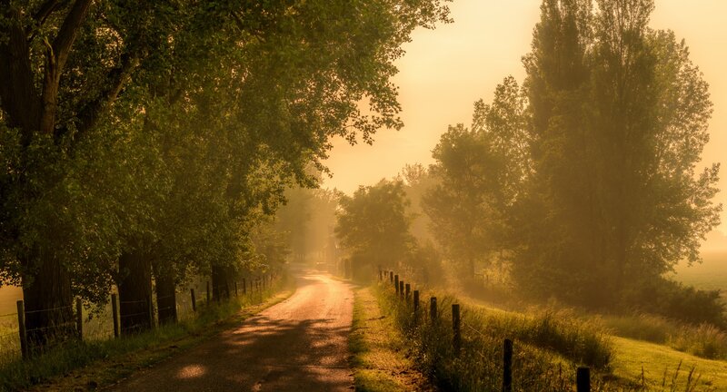 Country Road at Sunrise — Green, Serene, Photograph