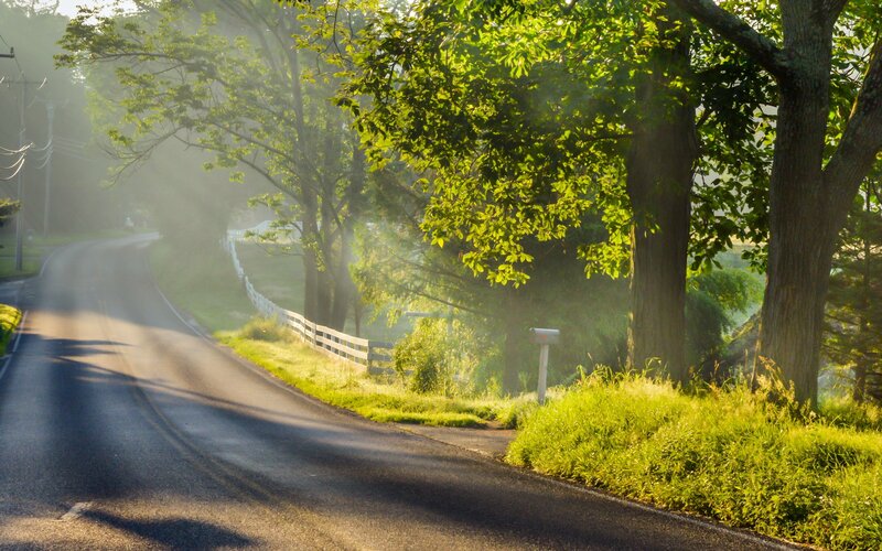 Country Road at Sunrise — Green, Serene