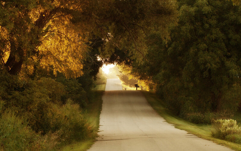 Country Road at Sunrise — Green