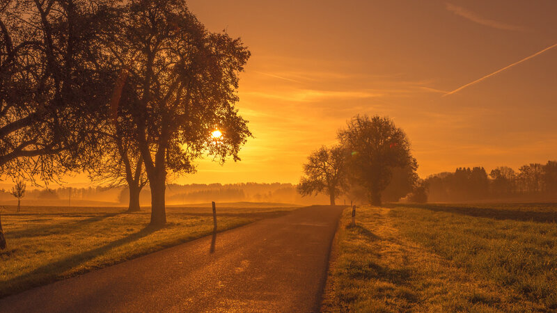 Country Road at Sunrise — Orange, Serene, Photograph, Trees