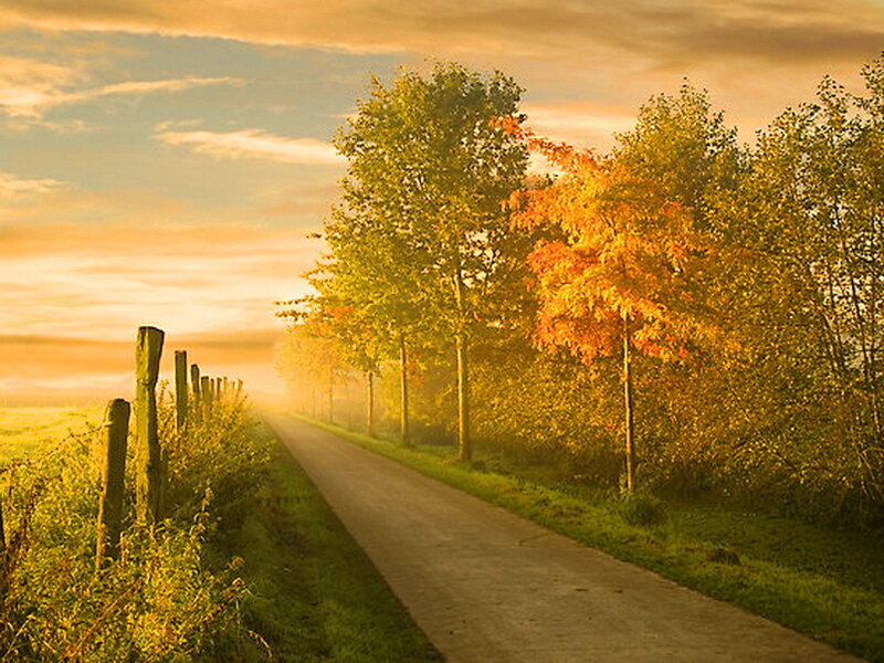 Country Road at Sunrise — Orange, Serene