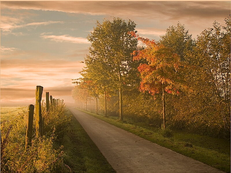 Country Road at Sunrise — Orange