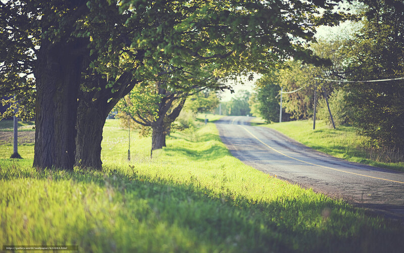 Country road at sunset