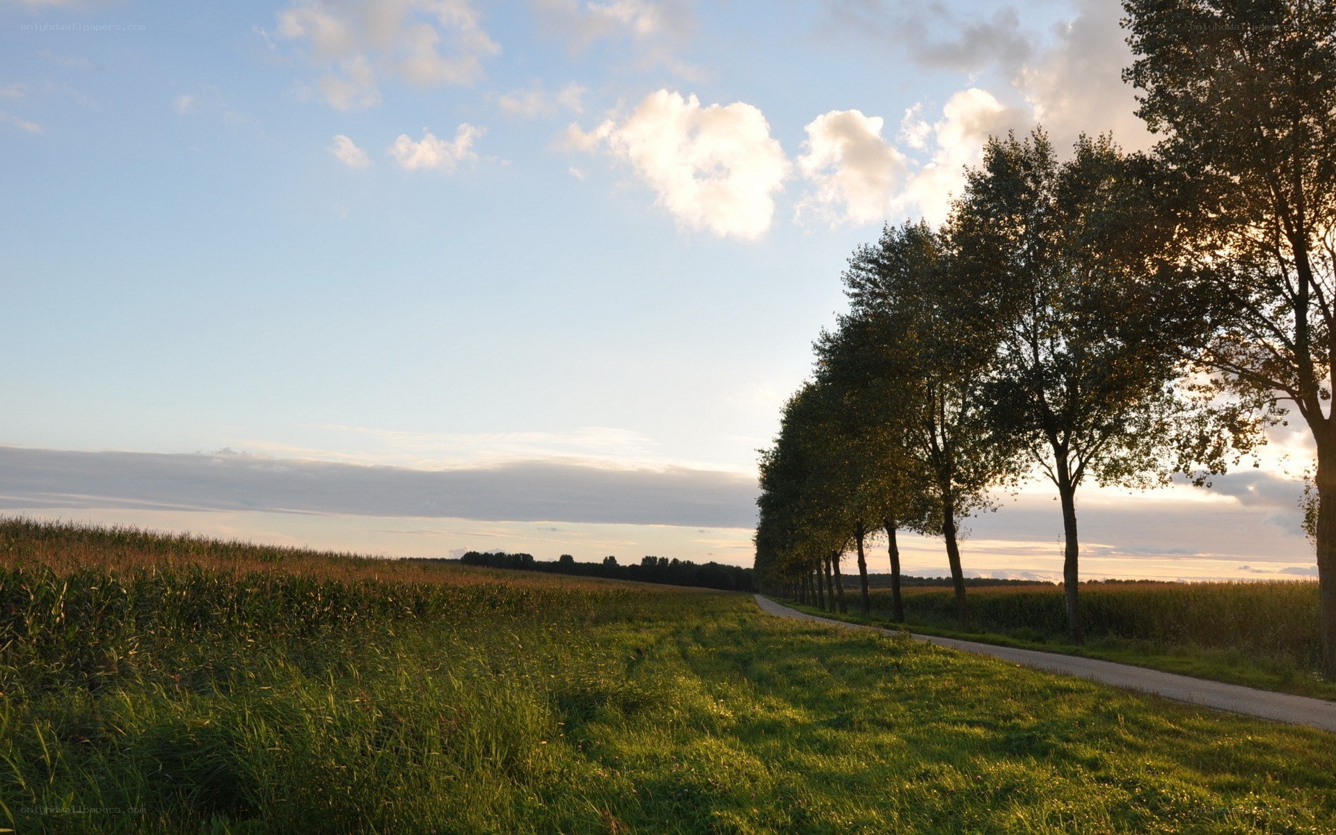 Country road at sunset