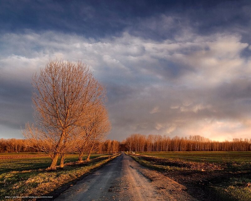 Country Road at Sunset