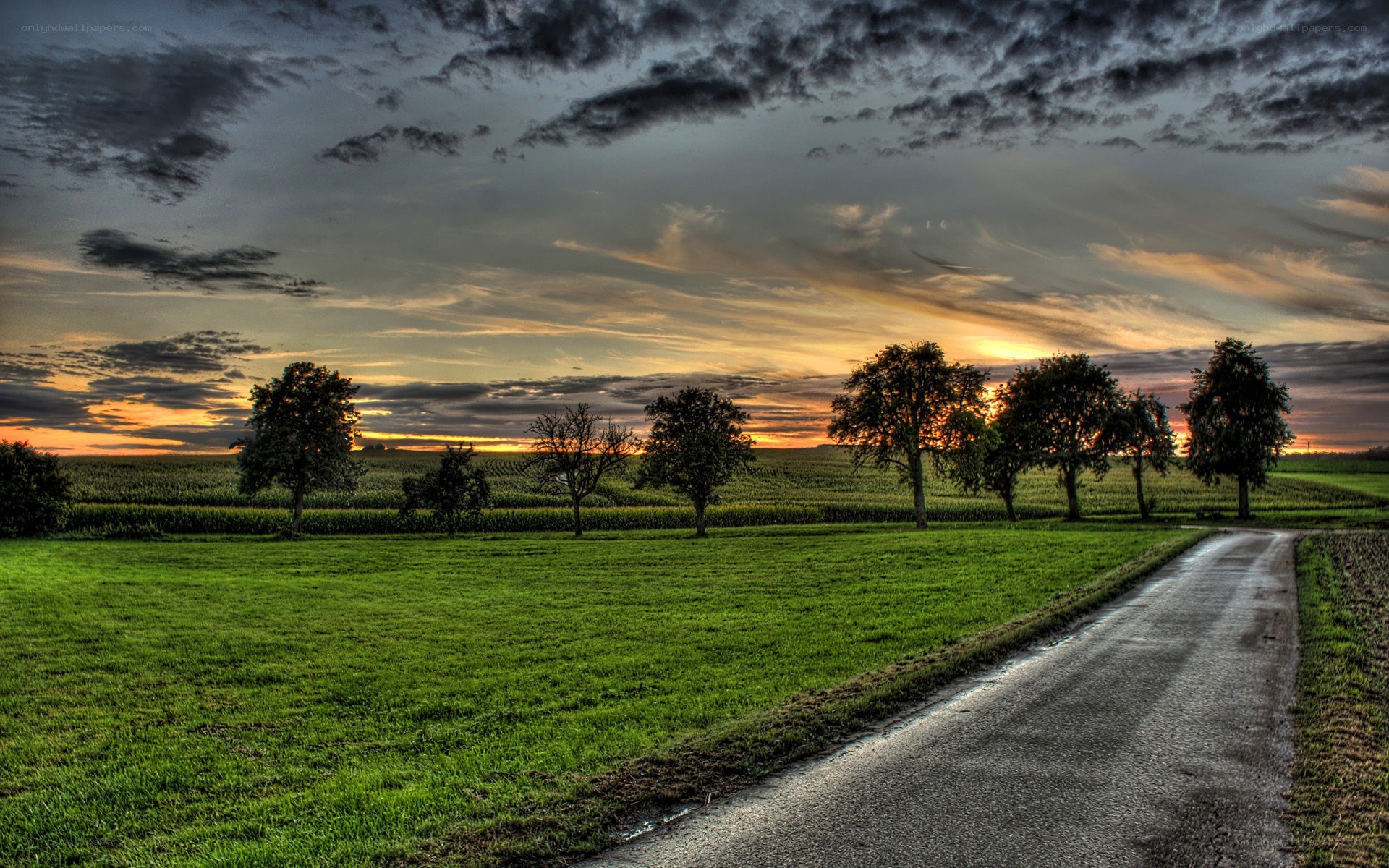 Country road at sunset