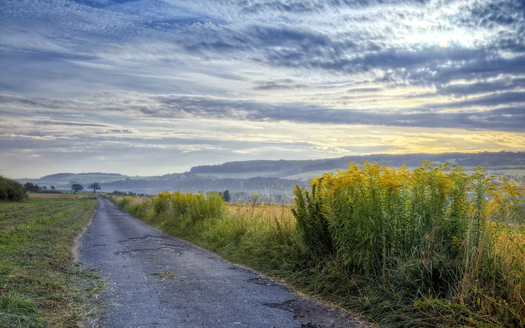 Country road at sunset