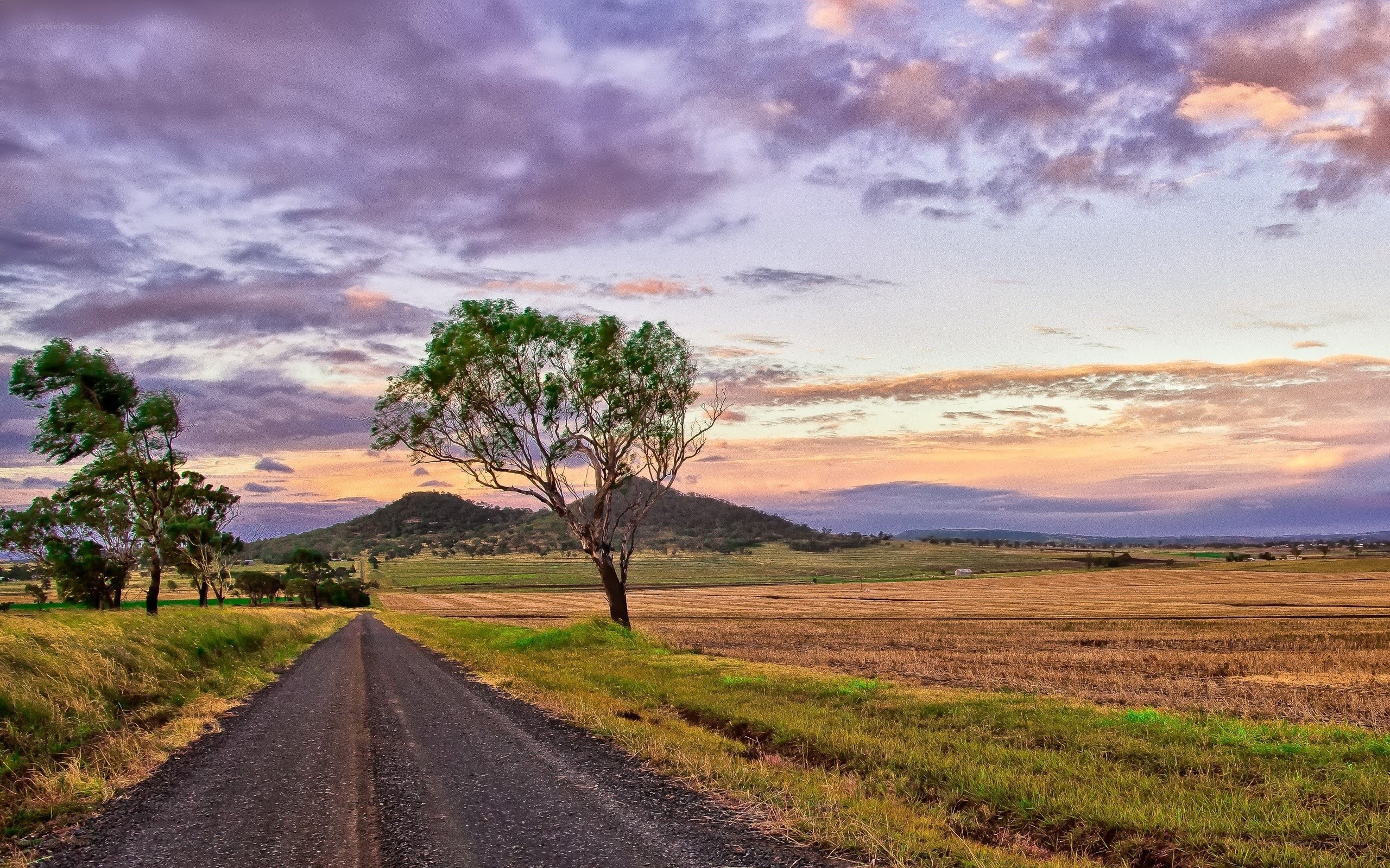 Country road at sunset