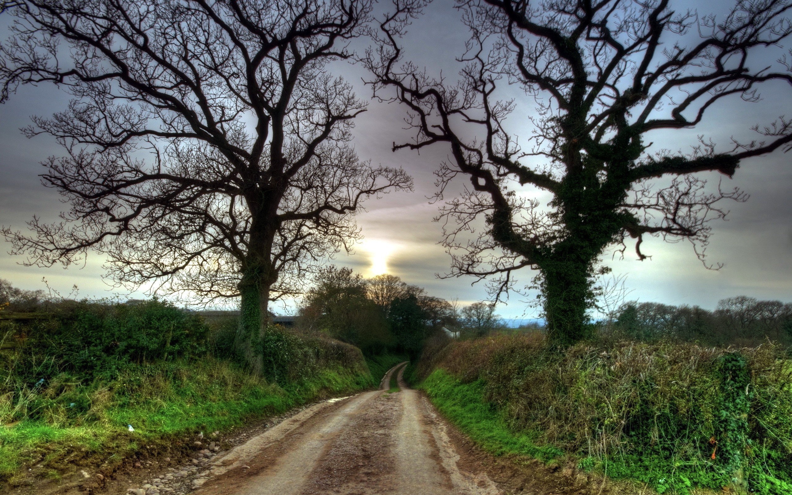 Country road at sunset
