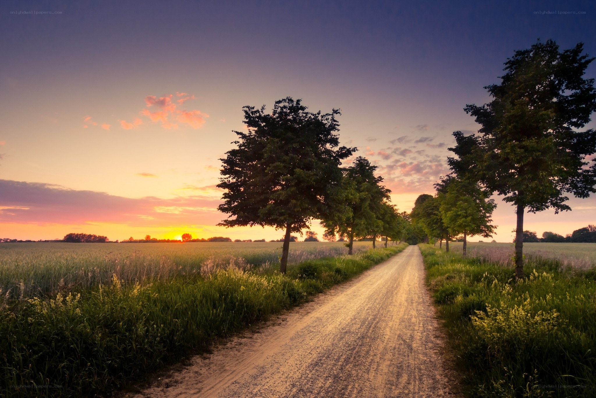 Country road at sunset