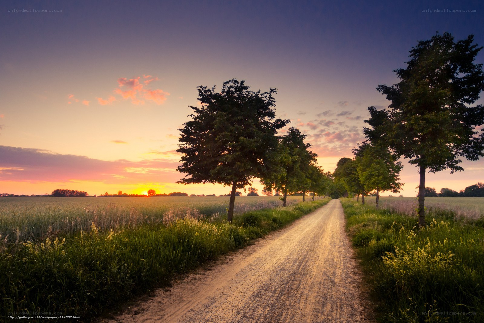 Country Road at Sunset