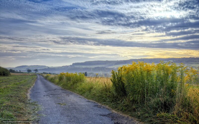 Country Road at Sunset — Blue, Serene, Photograph, Flowers
