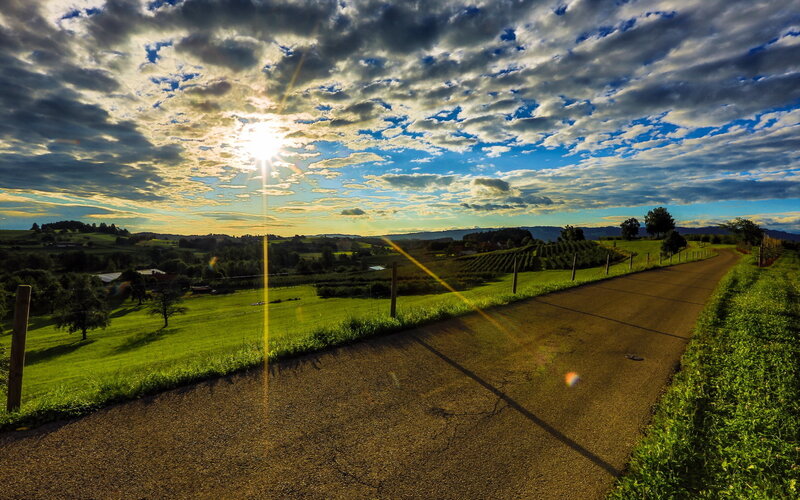 Country Road at Sunset — Green, Dramatic, Photograph, Sun