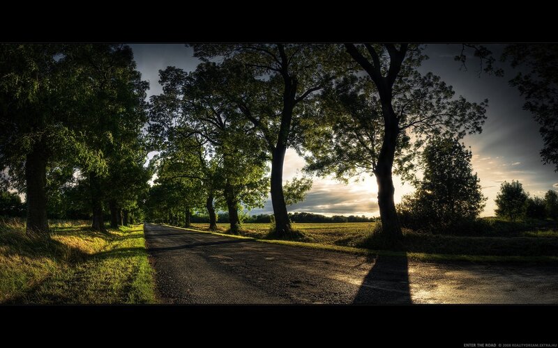 Country Road at Sunset — Green, Dramatic, Photograph, Trees