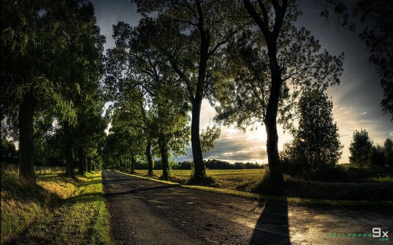 Country Road at Sunset — Green, Dramatic