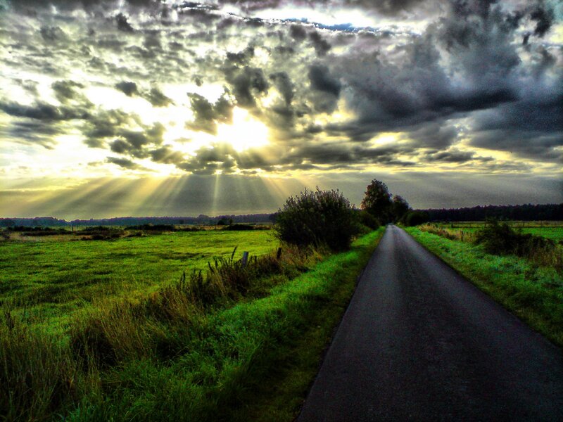 Country Road at Sunset — Green
