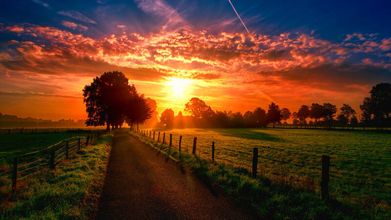 Country Road at Sunset — Orange, Dramatic, Photograph, Trees