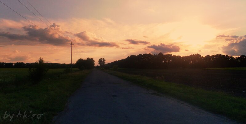 Country Road at Sunset — Orange, Serene