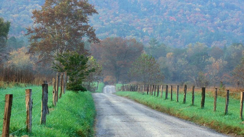 Country road in autumn