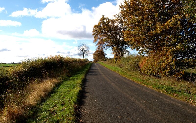 Country road in autumn