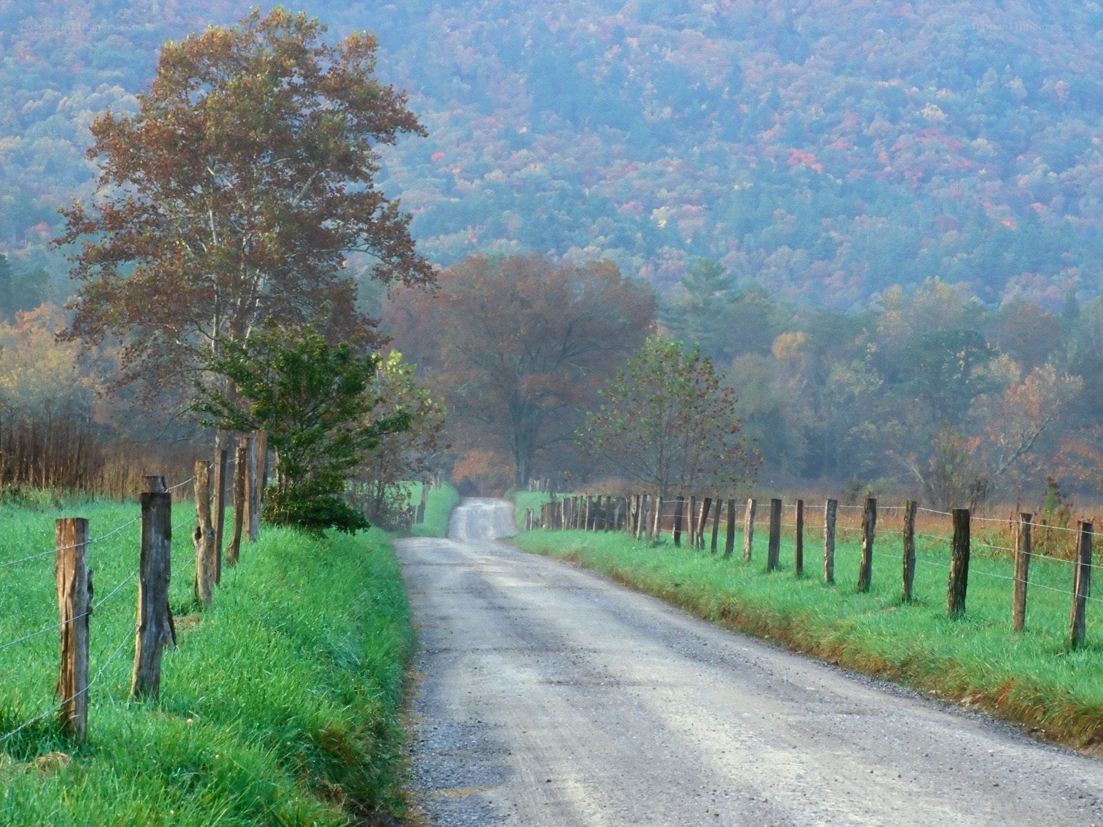 Country road in autumn