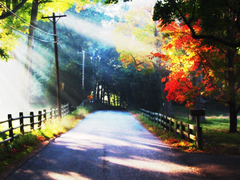Country Road in Autumn — Green, Serene, Photograph