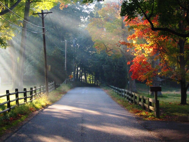 Country Road in Autumn — Green