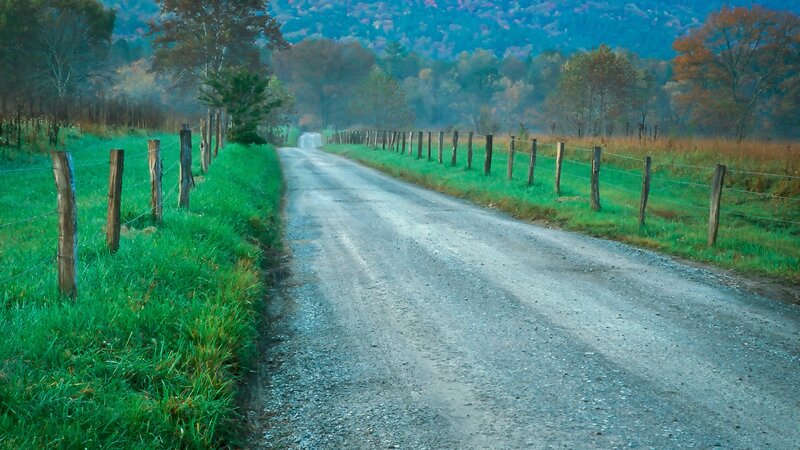 Country road in autumn mist