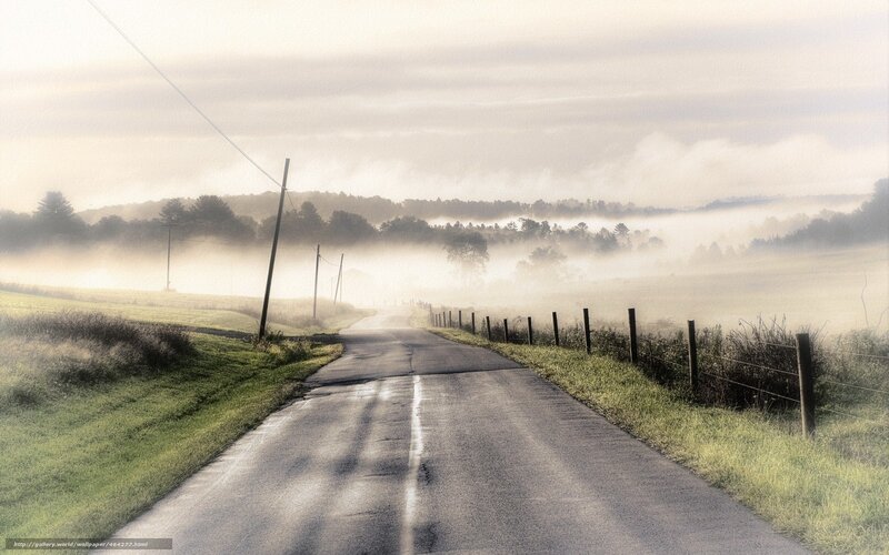 Country Road in Fog — Green