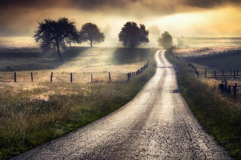 Country Road in Fog — Yellow